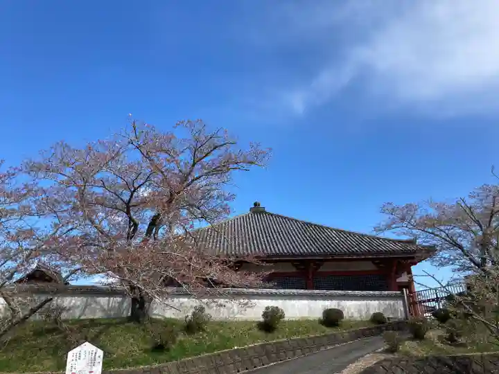 宝持院の本殿・本堂