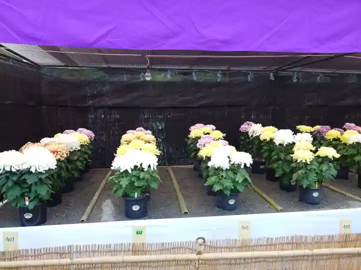 宗像大社(福岡県)