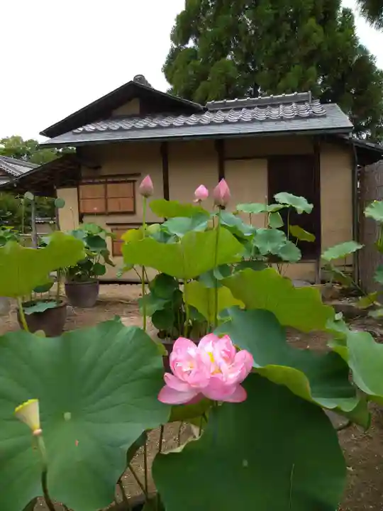 西大寺愛染堂(奈良県)