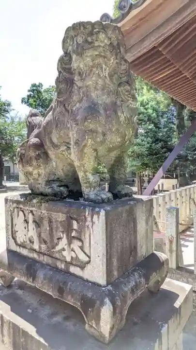 稲木神社(寄木町)の狛犬