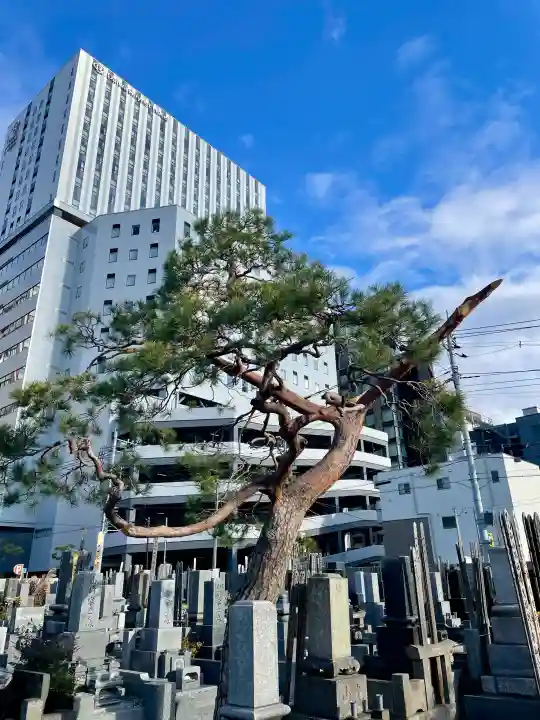 安楽寺の{uncategorized: "未分類", other: "その他", undefined: "問題あり", building: "その他建物", grave: "お墓", sacred_gate: "鳥居", guardian: "狛犬", statue: "像", buddha: "仏像", history: "歴史", nature: "自然", garden: "庭園", animal: "動物", pagoda: "塔", temizu: "手水舎", mountain_gate: "山門・神門", sanctuary: "本殿・本堂", subordinate: "末社・摂社", art: "芸術", scenery: "景色", jizo: "地蔵", ema: "絵馬", goshuin: "御朱印", omikuji: "おみくじ", items: "授与品その他", amulet: "お守り", goshuincho: "御朱印帳", eats: "食事", festival: "お祭り", votive_dance: "神楽", shichigosan: "七五三参", wedding: "結婚式", experience: "体験その他", initially: "初詣", around: "周辺", anti_infection: "感染症対策"}