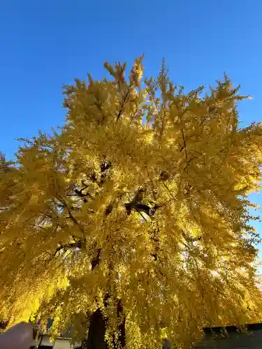 丹生酒殿神社(和歌山県)