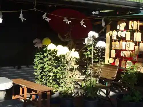 菊名神社の自然