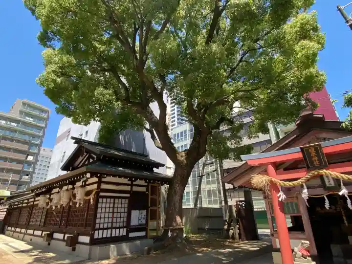 堀川戎神社の{uncategorized: "未分類", other: "その他", undefined: "問題あり", building: "その他建物", grave: "お墓", sacred_gate: "鳥居", guardian: "狛犬", statue: "像", buddha: "仏像", history: "歴史", nature: "自然", garden: "庭園", animal: "動物", pagoda: "塔", temizu: "手水舎", mountain_gate: "山門・神門", sanctuary: "本殿・本堂", subordinate: "末社・摂社", art: "芸術", scenery: "景色", jizo: "地蔵", ema: "絵馬", goshuin: "御朱印", omikuji: "おみくじ", items: "授与品その他", amulet: "お守り", goshuincho: "御朱印帳", eats: "食事", festival: "お祭り", votive_dance: "神楽", shichigosan: "七五三参", wedding: "結婚式", experience: "体験その他", initially: "初詣", around: "周辺", anti_infection: "感染症対策"}