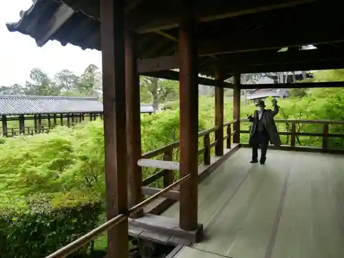 東福禅寺（東福寺）の体験その他