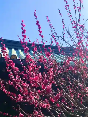 湯島天満宮の庭園
