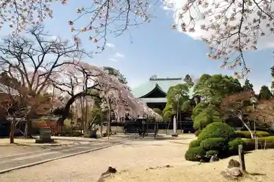 東漸寺のその他建物