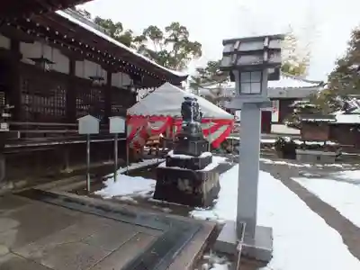 兵主大社の狛犬