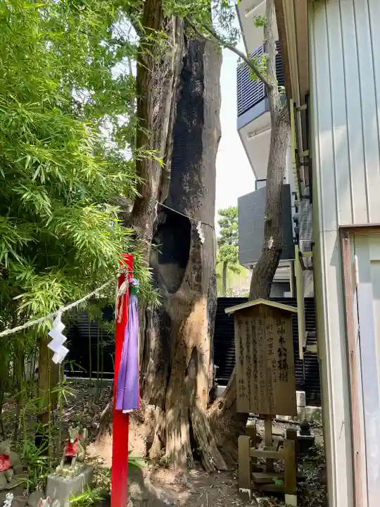 東神奈川熊野神社(神奈川県)