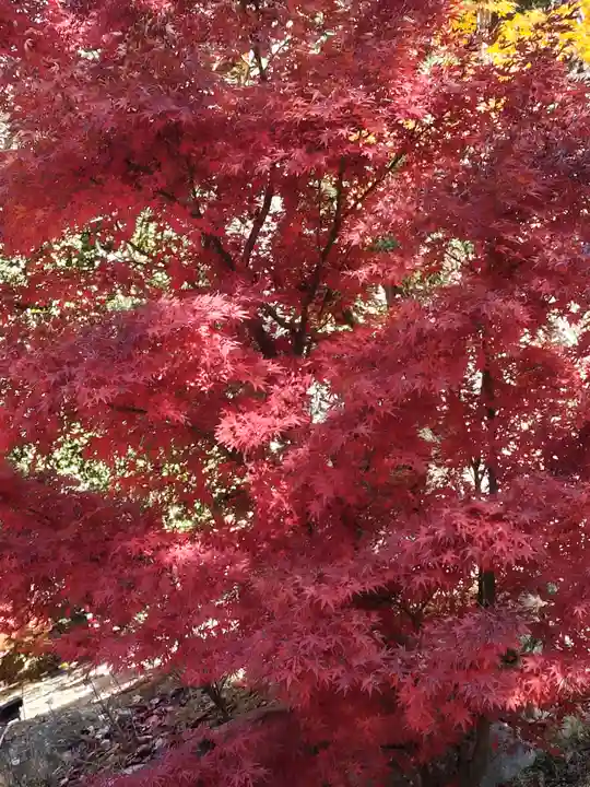 東福禅寺(東福寺)(京都府)