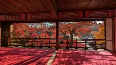 柳谷観音　楊谷寺(京都府)