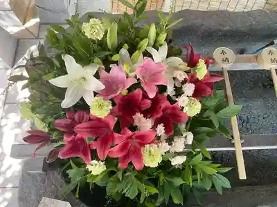 彌彦神社　(伊夜日子神社)の手水舎