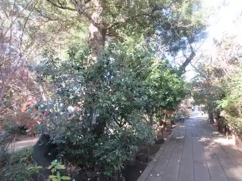 龍峰寺(神奈川県)