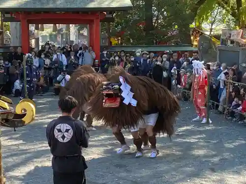 美奈宜神社(福岡県)