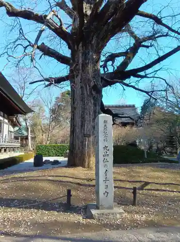 淨眞寺(東京都)