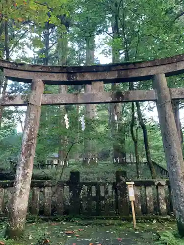 瀧尾神社（日光二荒山神社別宮）の鳥居