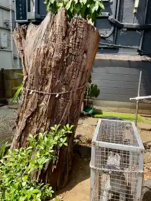 岩山稲荷神社(千葉県)