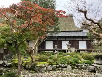 金剛寺(大阪府)
