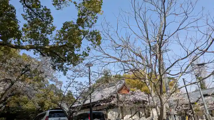 向日神社(京都府)