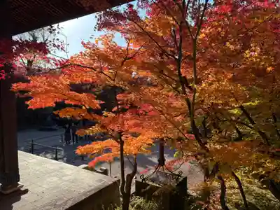禅林寺(永観堂)(京都府)