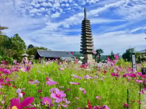 般若寺 ❁﻿コスモス寺❁の塔