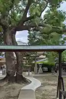 大神社のその他建物