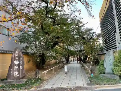 新井薬師（梅照院）(東京都)