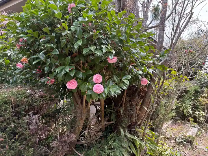 忍頂寺(大阪府)
