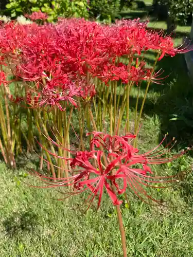 法岩院(千葉県)