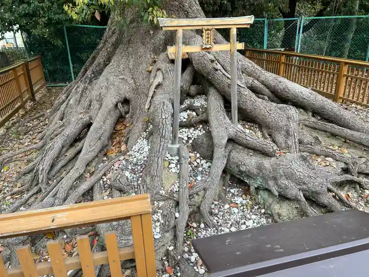 和泉國一之宮 大鳥大社(大阪府)