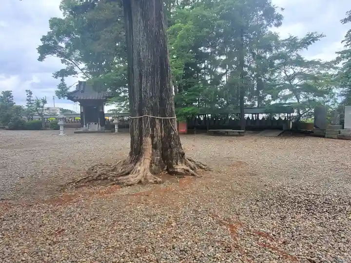 不動院(板橋不動尊)(茨城県)