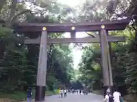 明治神宮の鳥居