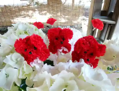琴似神社(北海道)