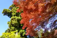 國魂神社(福島県)