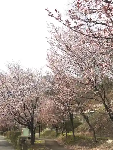 厚別神社の自然