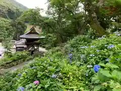 普門寺(切り絵御朱印発祥の寺)の景色