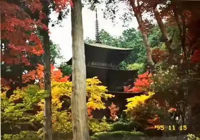 金剛輪寺のその他建物