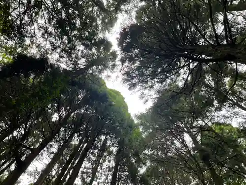 幣立神宮の自然