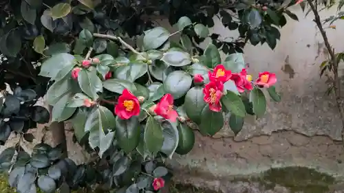 尊陽院(京都府)