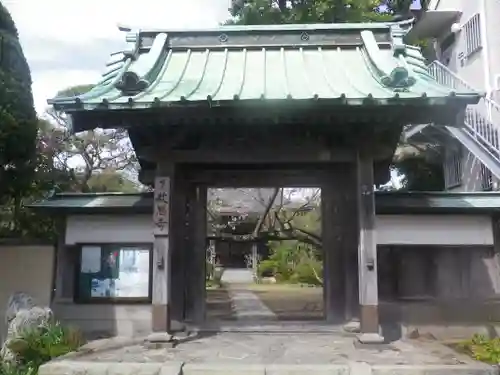 教恩寺の山門