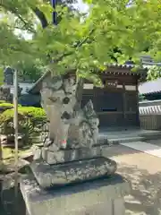 清荒神清澄寺の狛犬