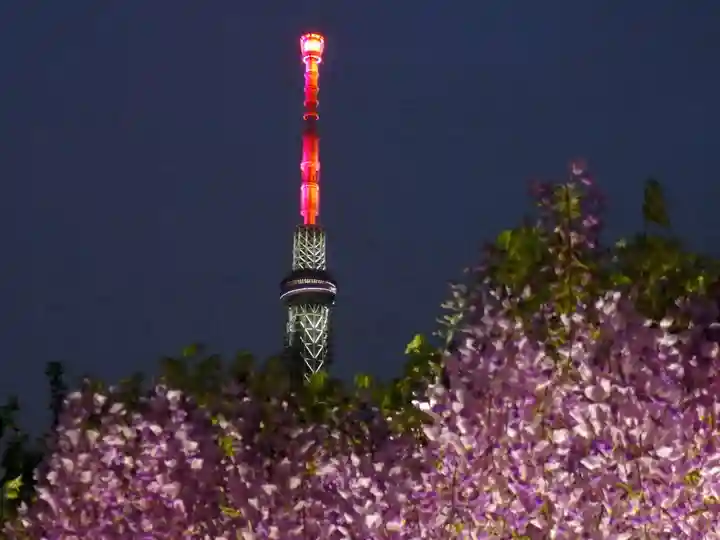 亀戸天神社の景色