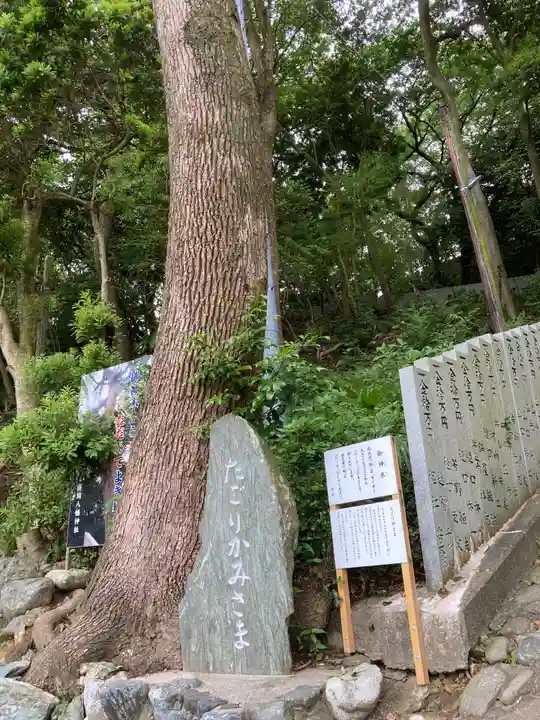 勝岡八幡神社の自然