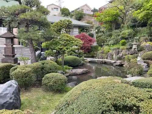 林光寺の庭園