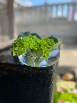 上尾御嶽神社の手水舎