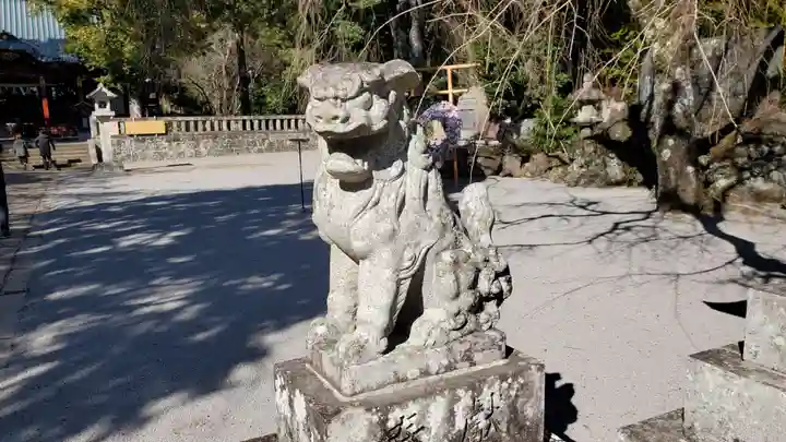 伊豆山神社の狛犬