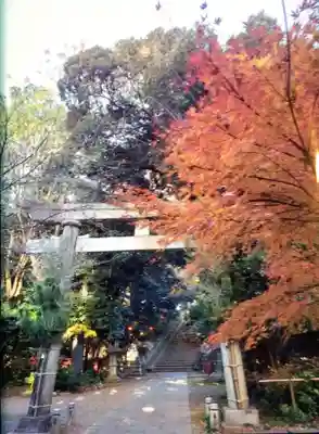 赤坂氷川神社(東京都)