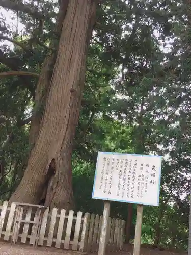 鎌数伊勢大神宮のその他建物