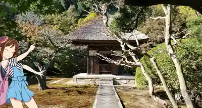 長壽寺(長寿寺)の本殿・本堂