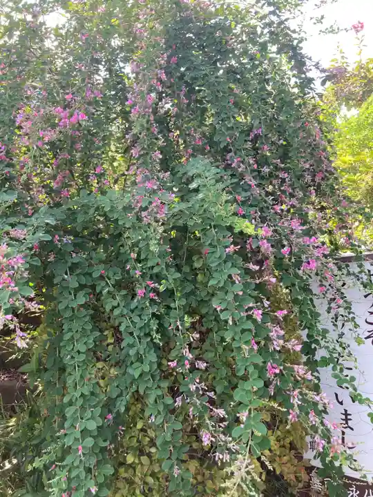 光照寺(神奈川県)